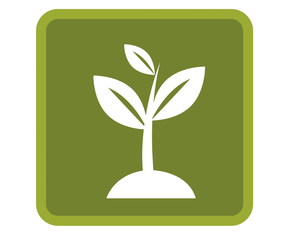 Logo del módulo de Ambiente de Mantis Software